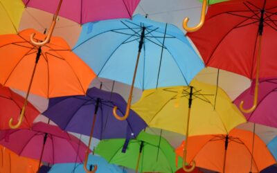 Why Every Executive Should Be Focusing on Culture Change Now