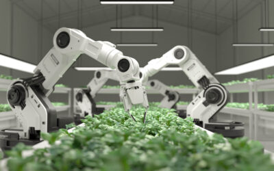 The Surprising Ways Robots Are Changing Our Lives