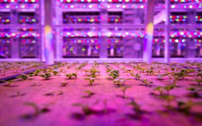 The Slow-But-Sure Shift to a Sustainable Circular Economy