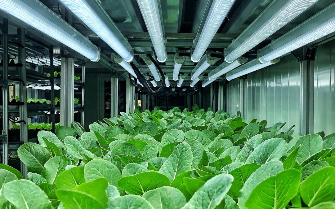 Energy Crisis: Are Industrial Manufacturers Sustainable Enough To Tackle It?