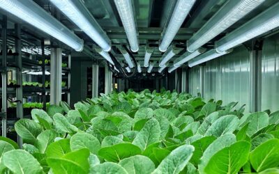 Energy Crisis: Are Industrial Manufacturers Sustainable Enough To Tackle It?