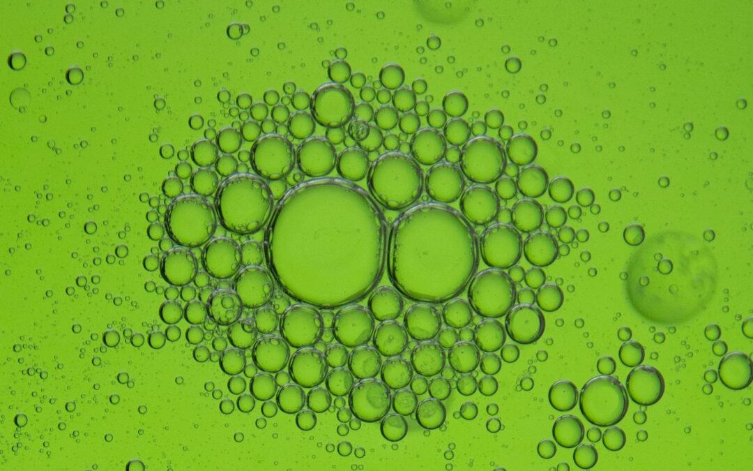 Unleashing The Potential of Green Hydrogen