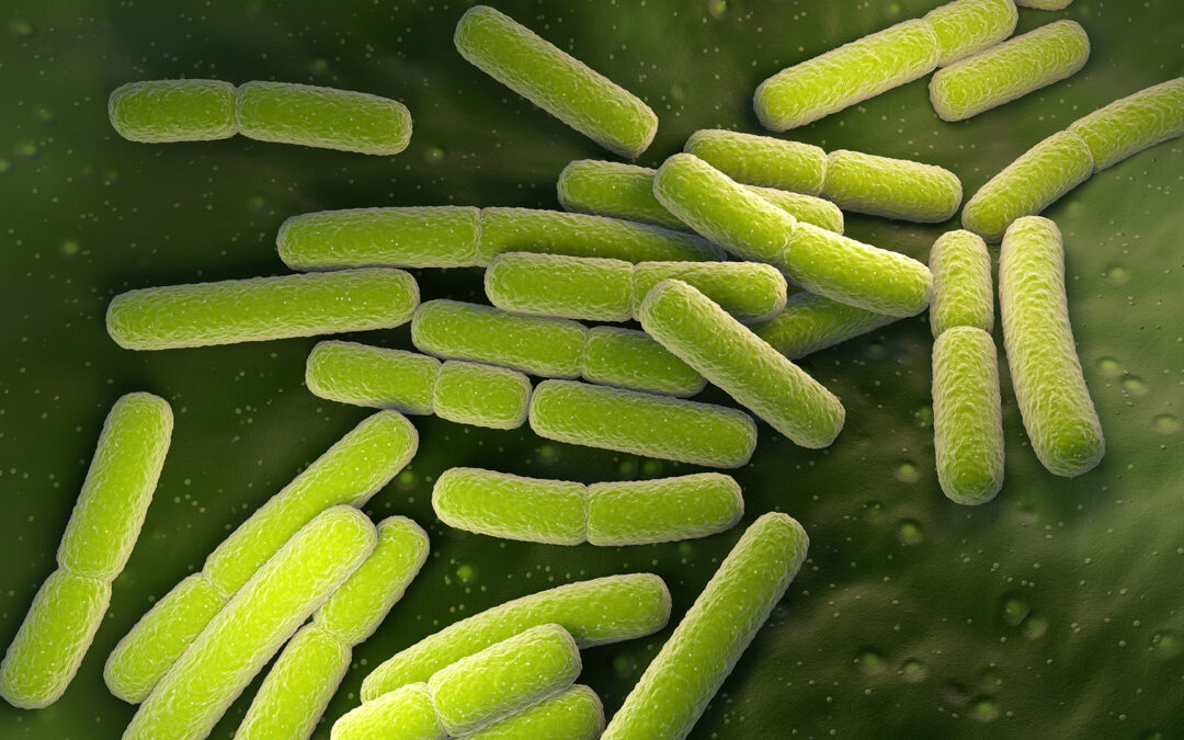 Bath Uni team creates antimicrobial 3D printed materials