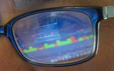 Jackson Flexible Products Enhancing Data Visualization with Partner Bearex