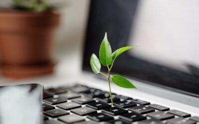 The Drivers of Sustainability in Industrial Machinery
