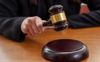 New Michigan Supreme Court Ruling: A Must-Read for All Automotive and Manufacturing Companies