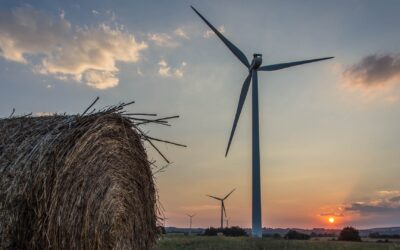 The Michigan Opportunity Podcast: Kerry Duggan, Founder & CEO, SustainabiliD