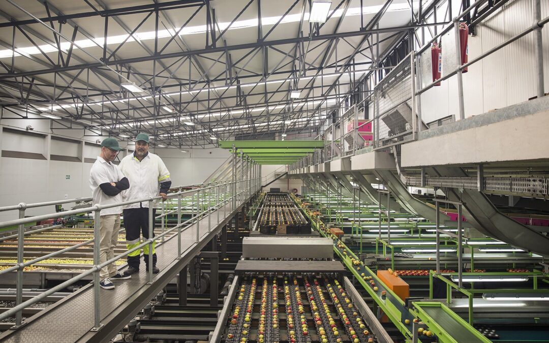 Food Manufacturing with an Industry 4.0 Twist