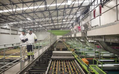 Food Manufacturing with an Industry 4.0 Twist