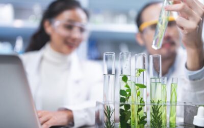Michigan Tech Expands Data Science Programs to Meet Demand