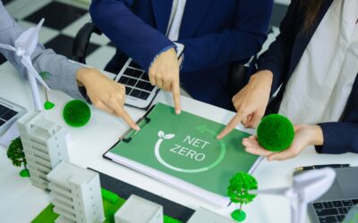 Navigating the Complex Path to Sustainability: A Business Journey Toward Net Zero and Beyond