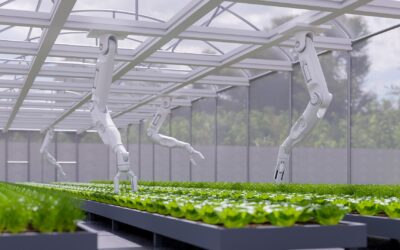 The Journey Toward a Sustainable Manufacturing Future
