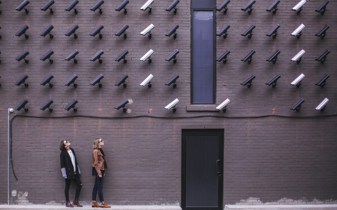 Reclaiming Privacy in the Digital Age: The Fight Against Data Exploitation and Surveillance