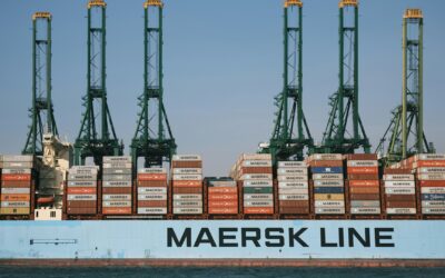 Navigating Tariff Uncertainty: What Businesses Can Do Right Now