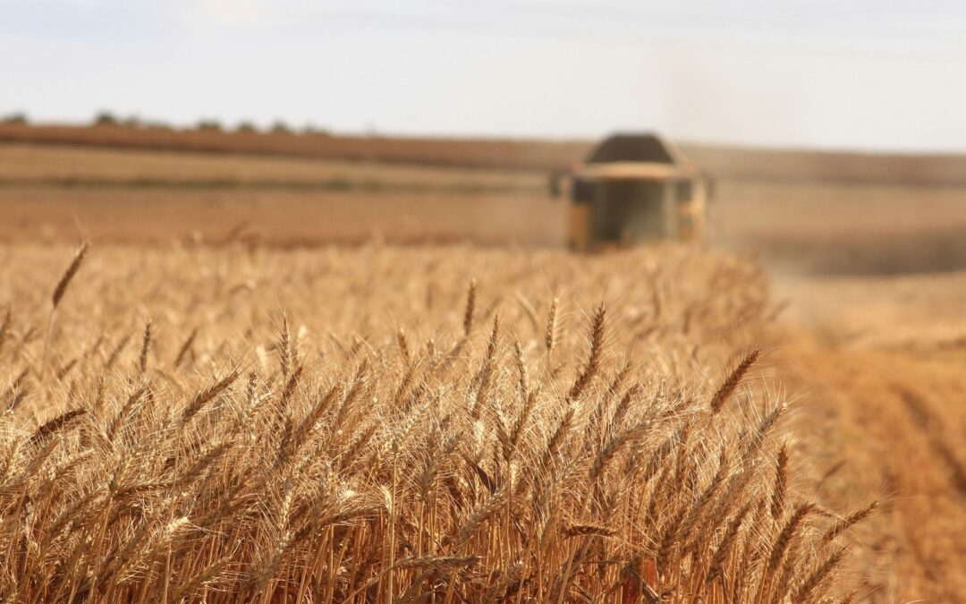 Horsepower to Hyperloops Podcast: Chasing the Future of Agriculture