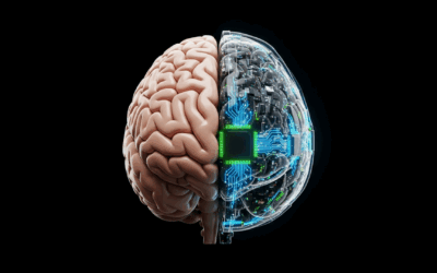 Having the Right Brain for the AI Age: How to Partner with Machines Without Losing What Makes You Human