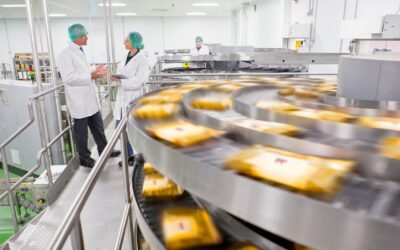 A Full Guide to Food-Safe 3D Printing